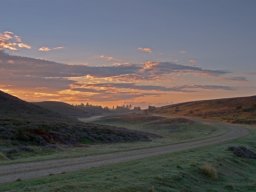 Morgenstenmning-Kongenshus-mindepark-IMGP8418
